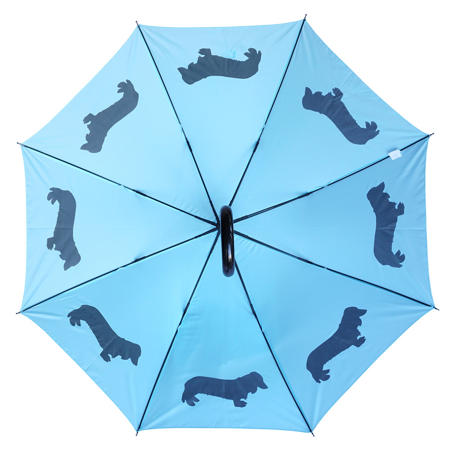 Dachshund Long-Haired Auto Open Umbrella | Black on Island Paradise Blue